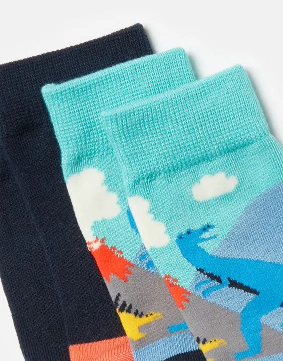 Brill Bamboo 2 Pack Socks | Joules | Joules | Jenni Kidz