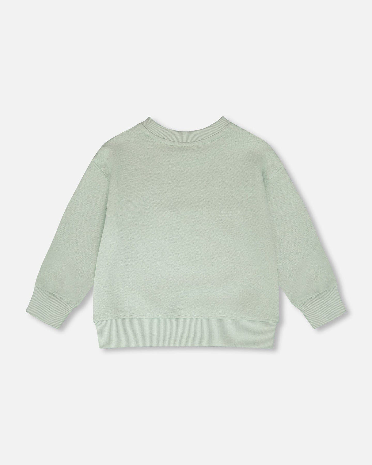 French Terry Sweatshirt Mint Green-2