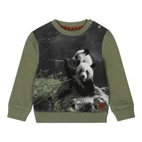 Faded green Dirkje boys' sweatshirt with black-and-white two-panda photo print, front view