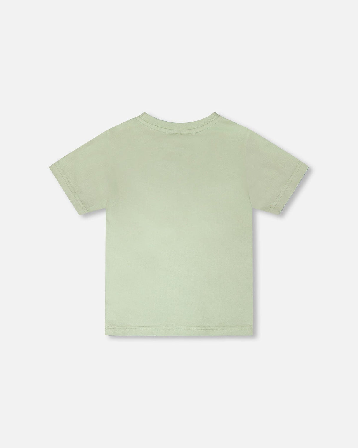 Organic Cotton Jersey T-Shirt With Mountain Print Sage-3