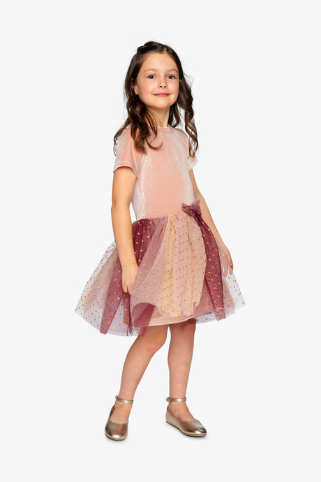 Bi-Material Dress With Gradient Print Skirt Pink-2