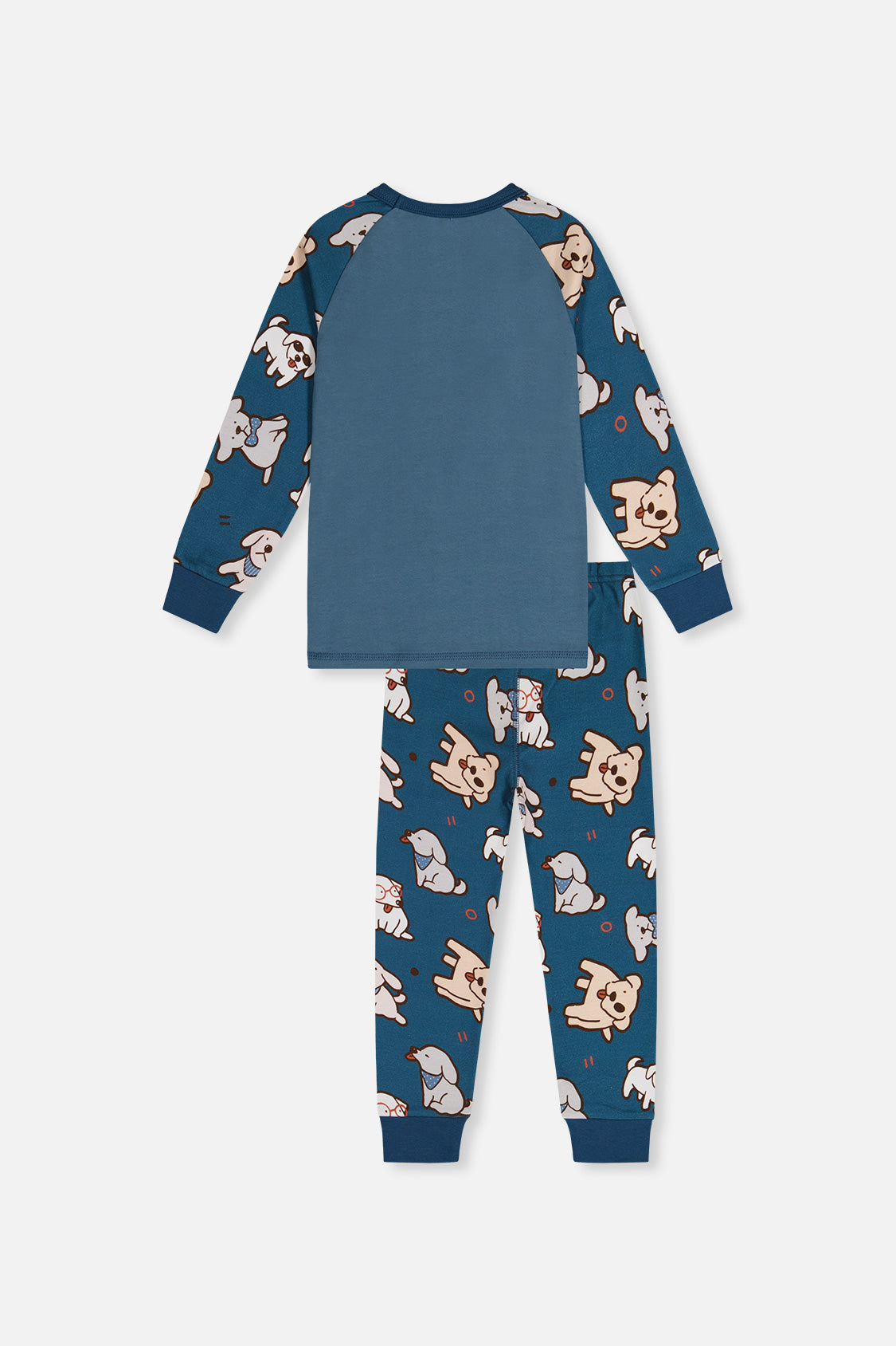Organic Cotton Two Piece Pajama Set Turquoise Dog Print-2