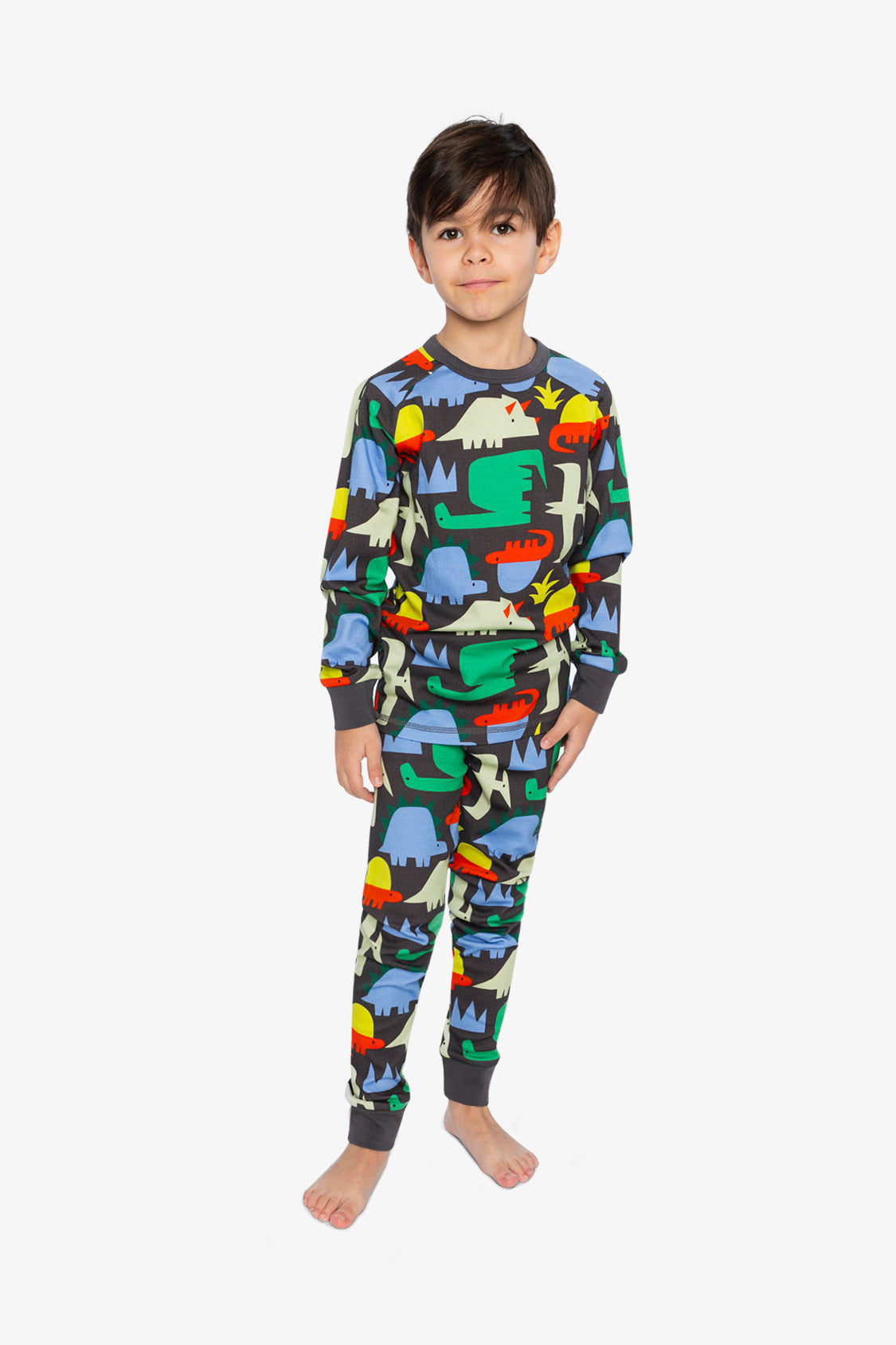 Organic Cotton Two Piece Pajama Set Black Dinosaur Print-1