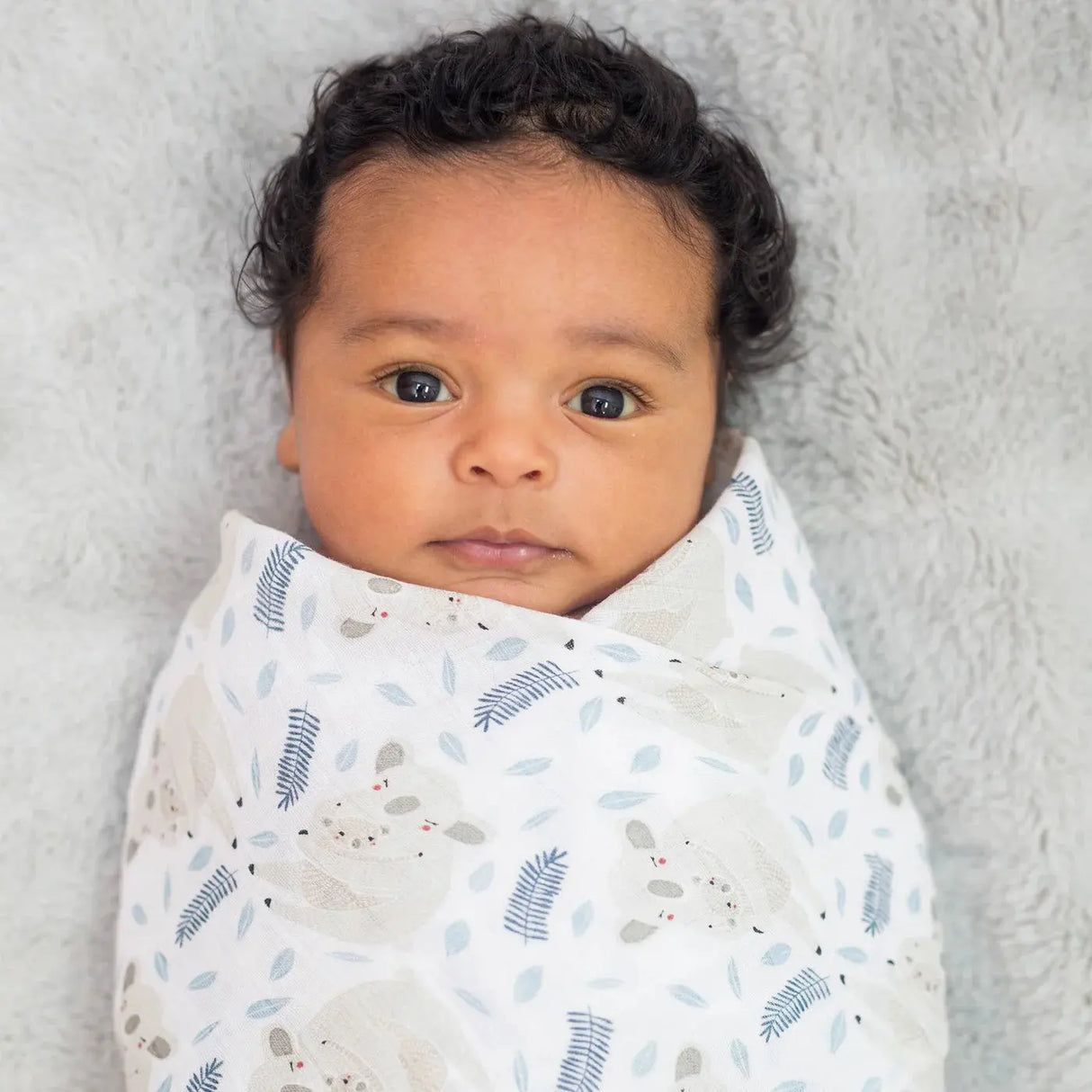 Swaddle Blanket Muslin Cotton Modern Koala | Lulujo | Lulujo | Jenni Kidz